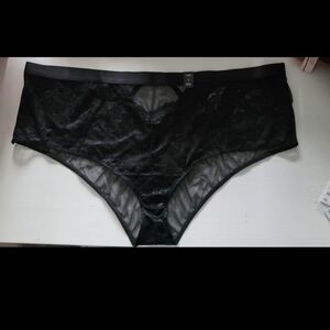Nwt TORRID Plus Sz 5s,2 PAIR Elegant Intimate Cheeky Panties.